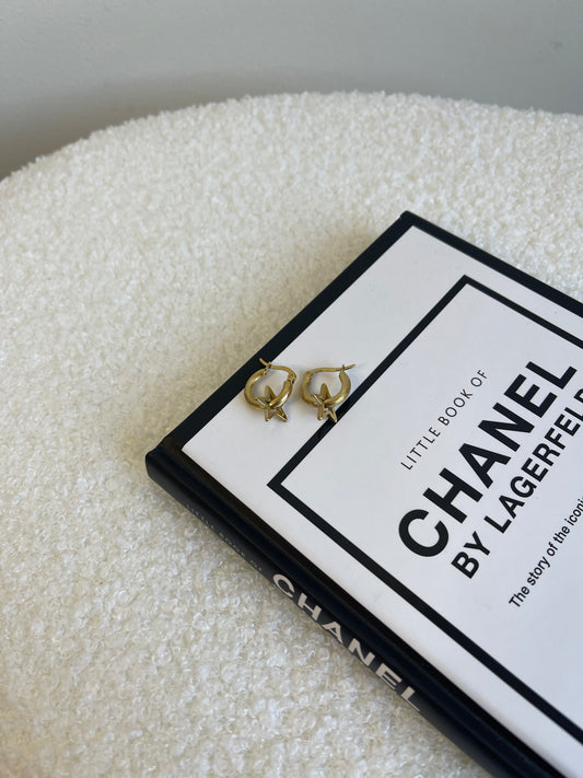 All the stars earrings